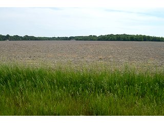Property photo 61 - FARM & LAND AUCTION - 125+/- ACRES OFFERED IN 5 TRACTS IN EAST ALLEN COUNTY, INDIANA